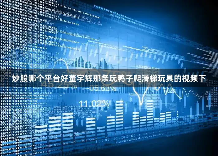 炒股哪个平台好董宇辉那条玩鸭子爬滑梯玩具的视频下