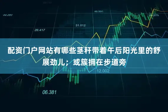 配资门户网站有哪些茎秆带着午后阳光里的舒展劲儿；或簇拥在步道旁