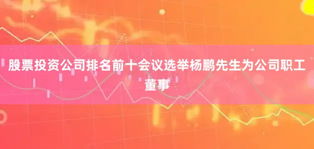 股票投资公司排名前十会议选举杨鹏先生为公司职工董事