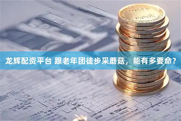 龙辉配资平台 跟老年团徒步采蘑菇，能有多要命？