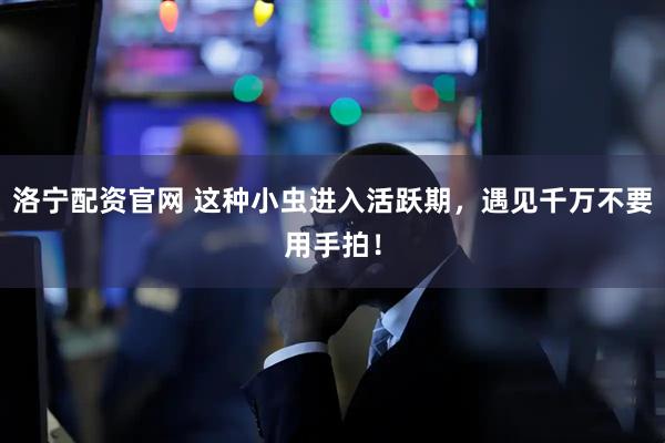洛宁配资官网 这种小虫进入活跃期，遇见千万不要用手拍！